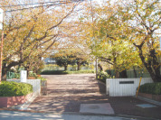 船橋市立船橋中学校