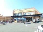 ワイズマートディスカ夏見店