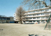 市川市立大柏小学校