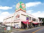 ライフ市川国分店